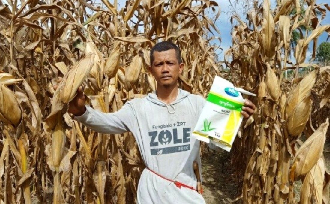 Empowered Corn Farmers, Increased Family Income