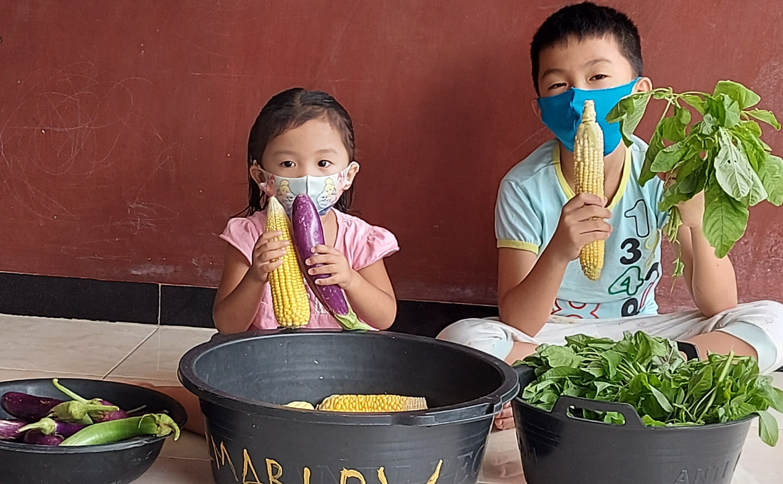Prevent Stunting with Family's Nutrition Garden 