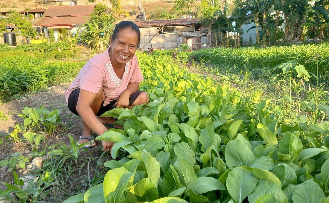 Manage Vacant Land, This Woman Has Succeeded in Helping the Family Economy