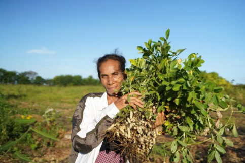 Wahana Visi layani pembiayaan inklusif bagi petani di Indonesia Timur