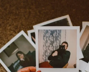 Holiday in the Forest - Photographer Polaroid