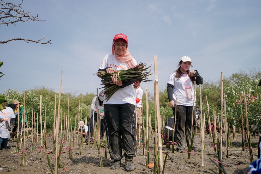 [April] Mangrove Check-in