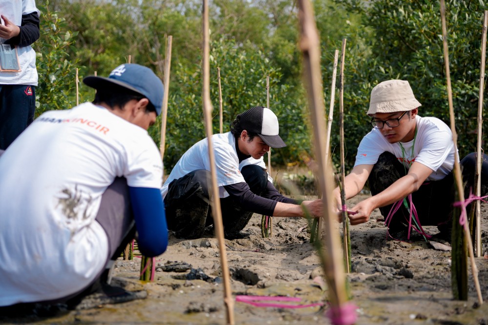 [May] Mangrove Check-in