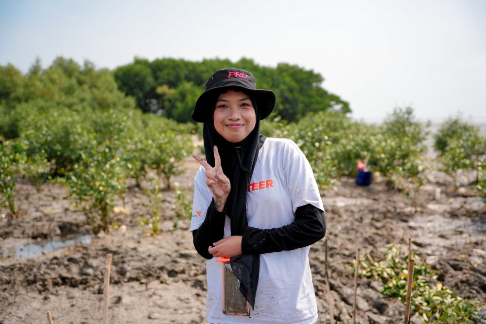 [Juni-Juli] Input Data Mangrove