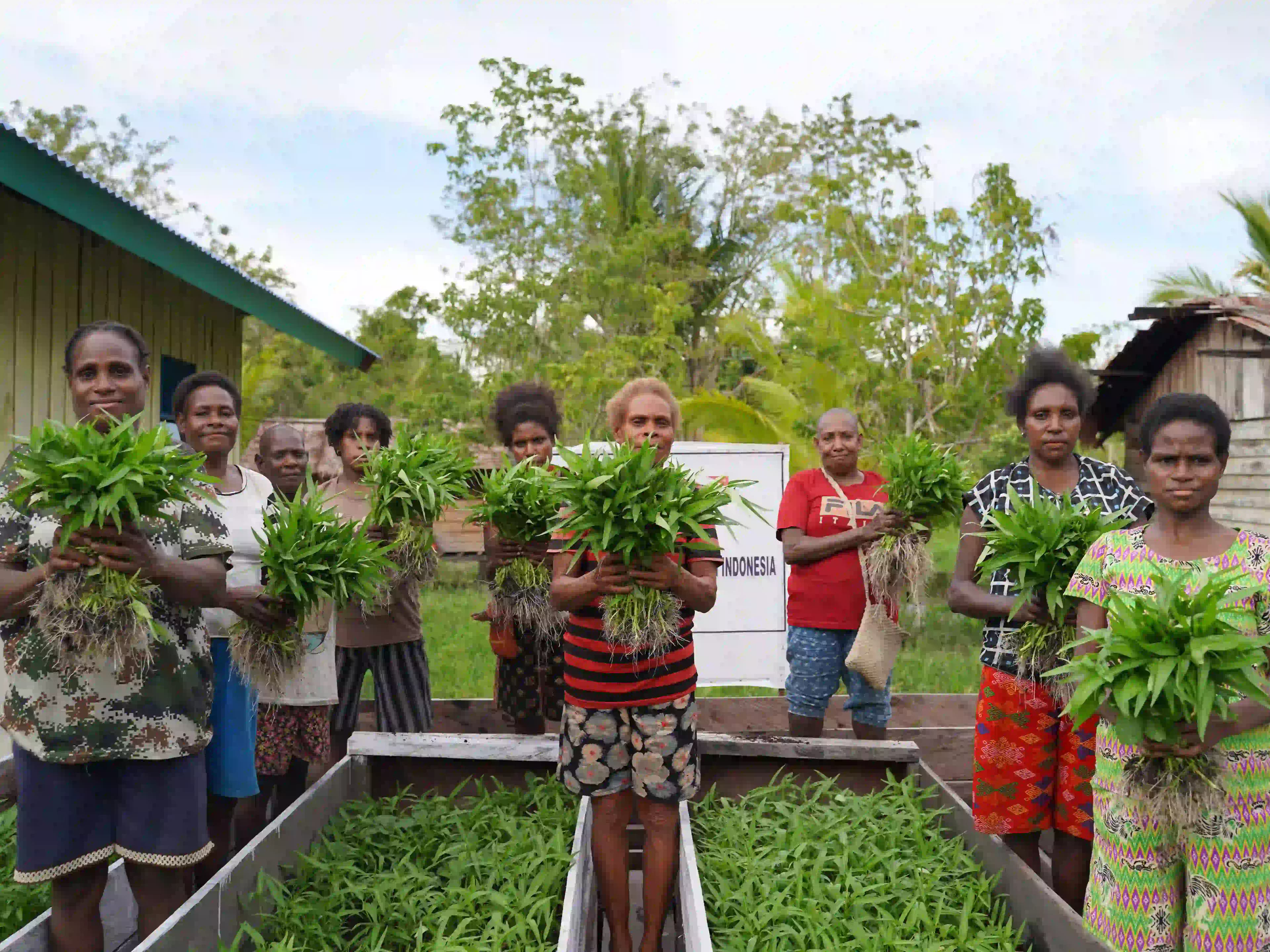 Pengakuan atas Inovasi dan Dampak Berkelanjutan