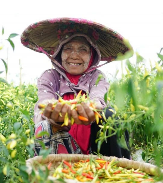 Peningkatan Ekonomi Keluarga