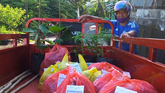 Beri Keuntungan, Sayur Organik Jadi Tumpuan Pendapatan Petani Saat Pandemi