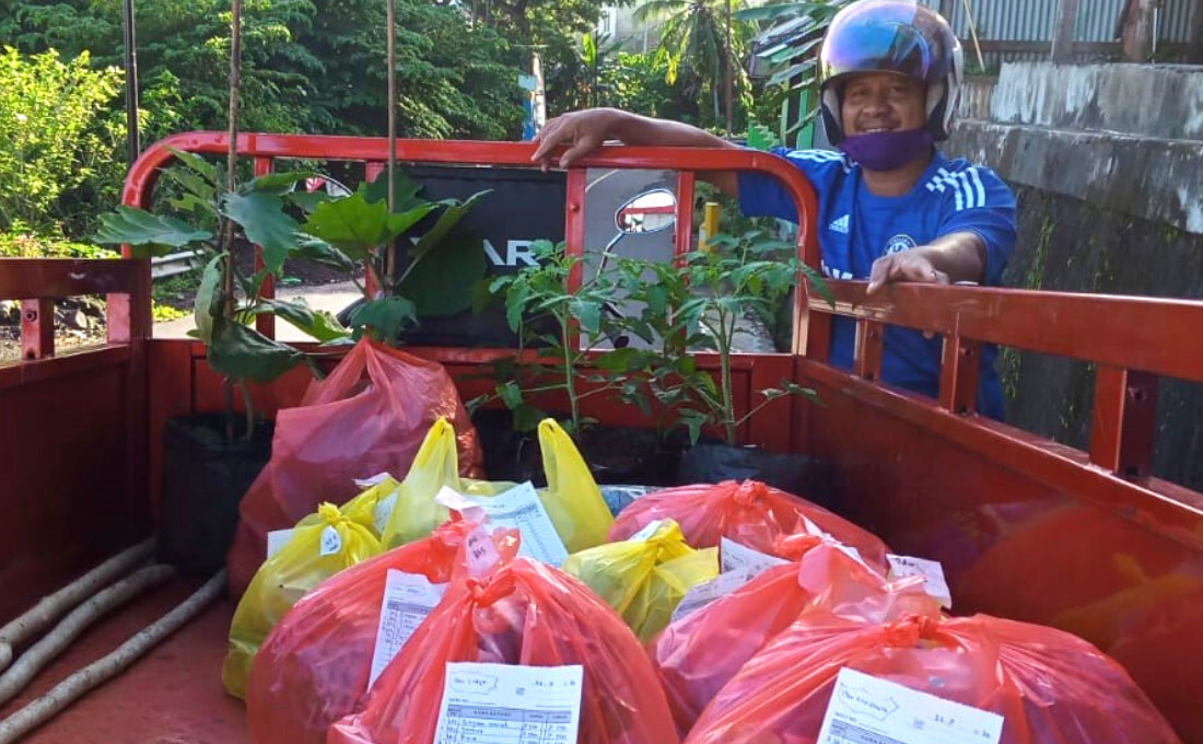 Beri Keuntungan, Sayur Organik Jadi Tumpuan Pendapatan Petani Saat Pandemi