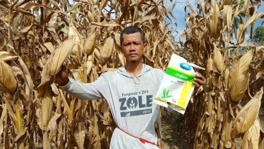 Empowered Corn Farmers, Increased Family Income