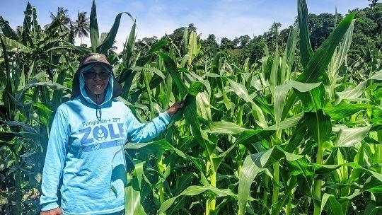Corn Farming for Children's Education