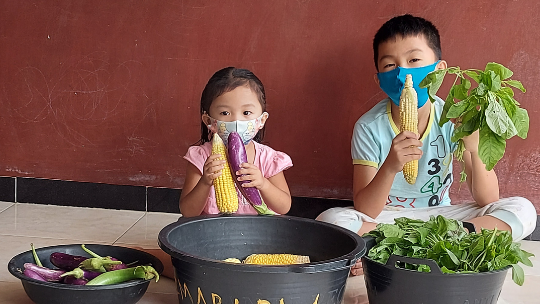 Prevent Stunting with Family's Nutrition Garden 
