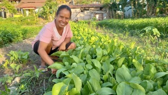 Manage Vacant Land, This Woman Has Succeeded in Helping the Family Economy