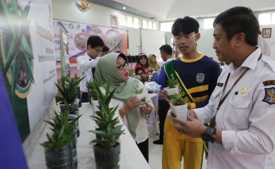 Cerita Siswa SMP di Surabaya Luncurkan Mangrove Warrior dan Taman Sansiviera